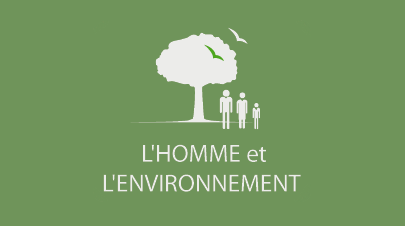 ONG L’HOMME et L’ENVIRONNEMENT / La Réserve de Vohimana