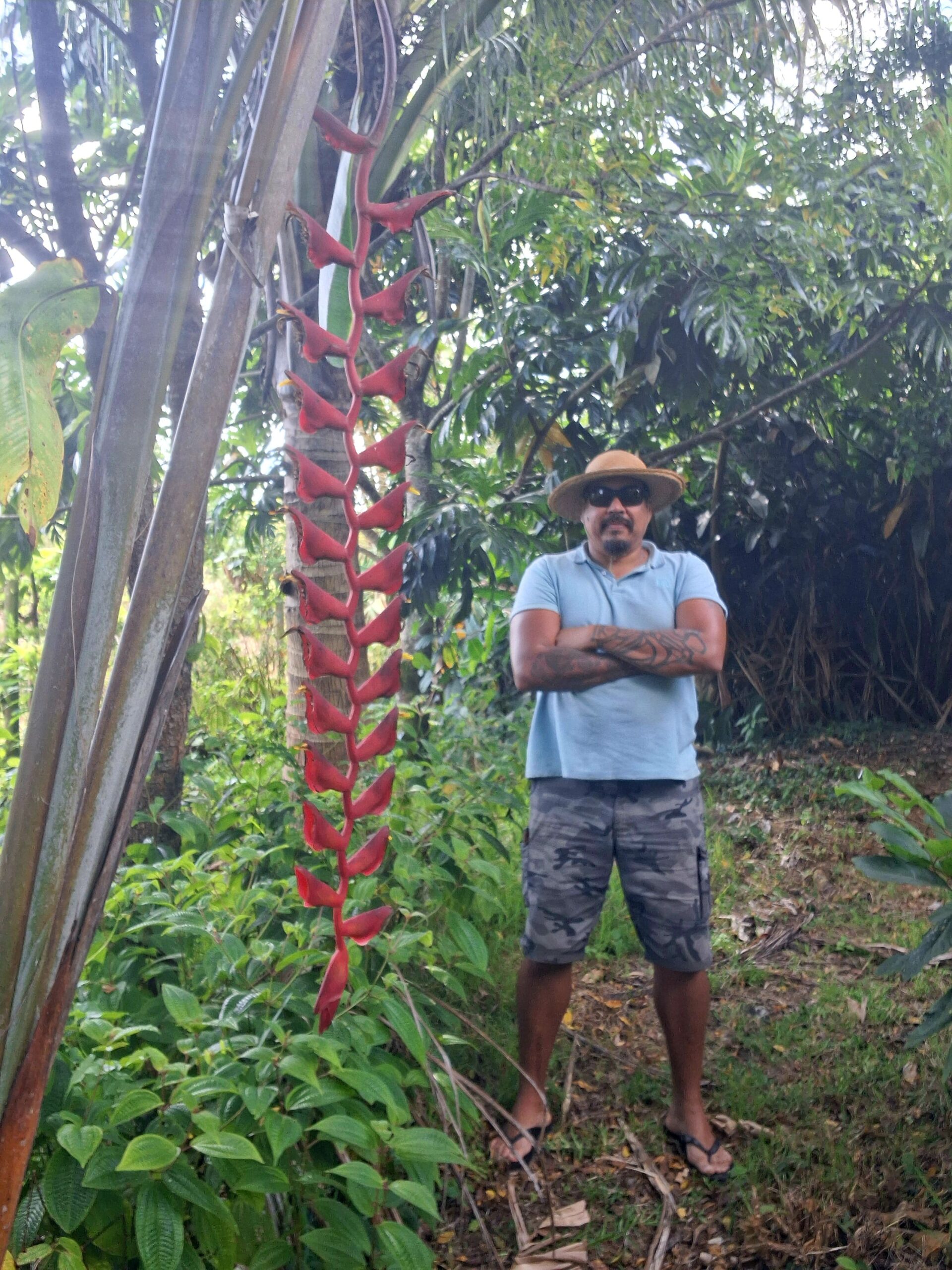 Sculpture Vivante Ltée (The Organic Perimeter) 